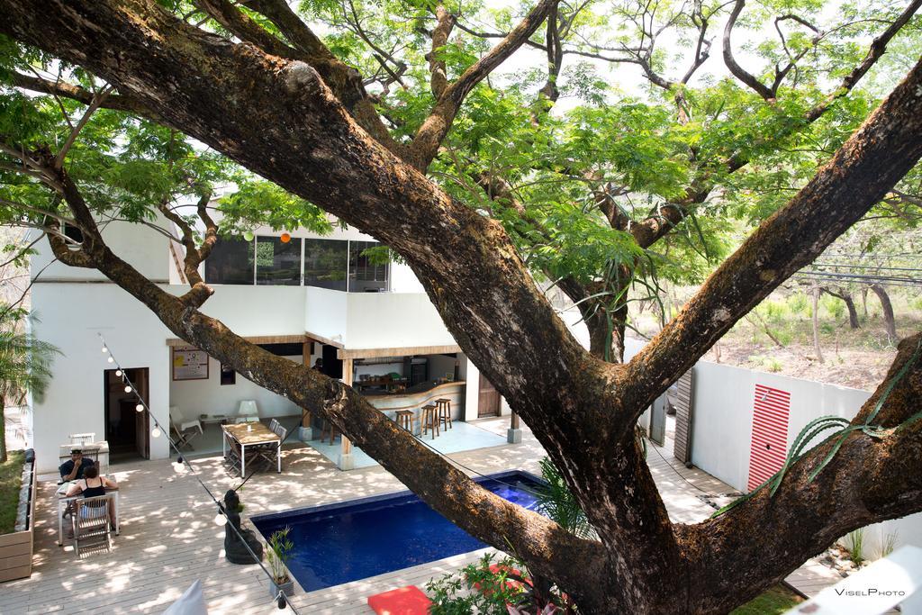 15 Love Bed & Breakfast Tamarindo Eksteriør bilde
